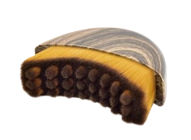 Spazzola Linfatica Viso IN OMAGGIO